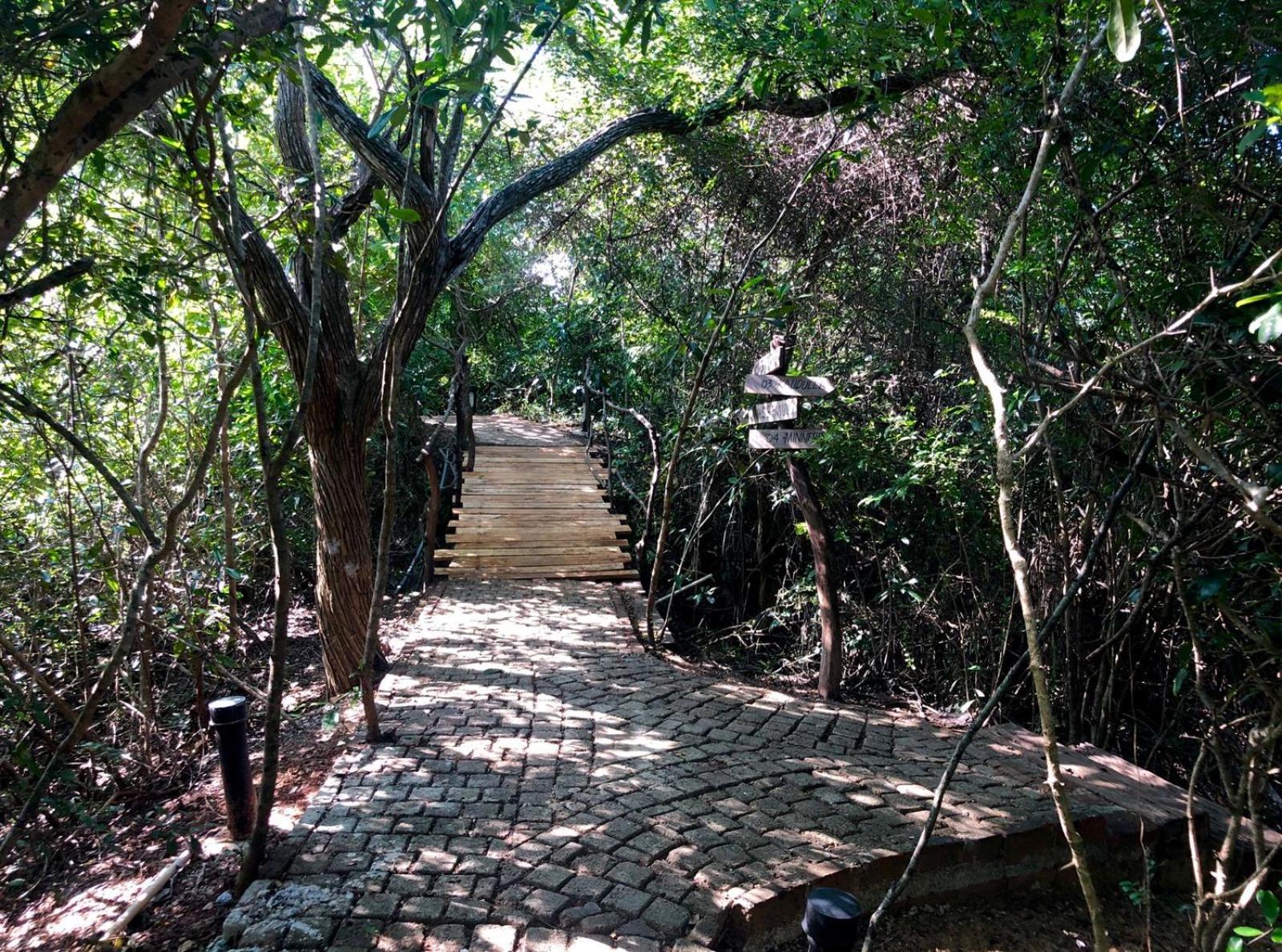 Cloud Nine Wilpattu By Aaradhya Hotell Wanathavilluwa Eksteriør bilde