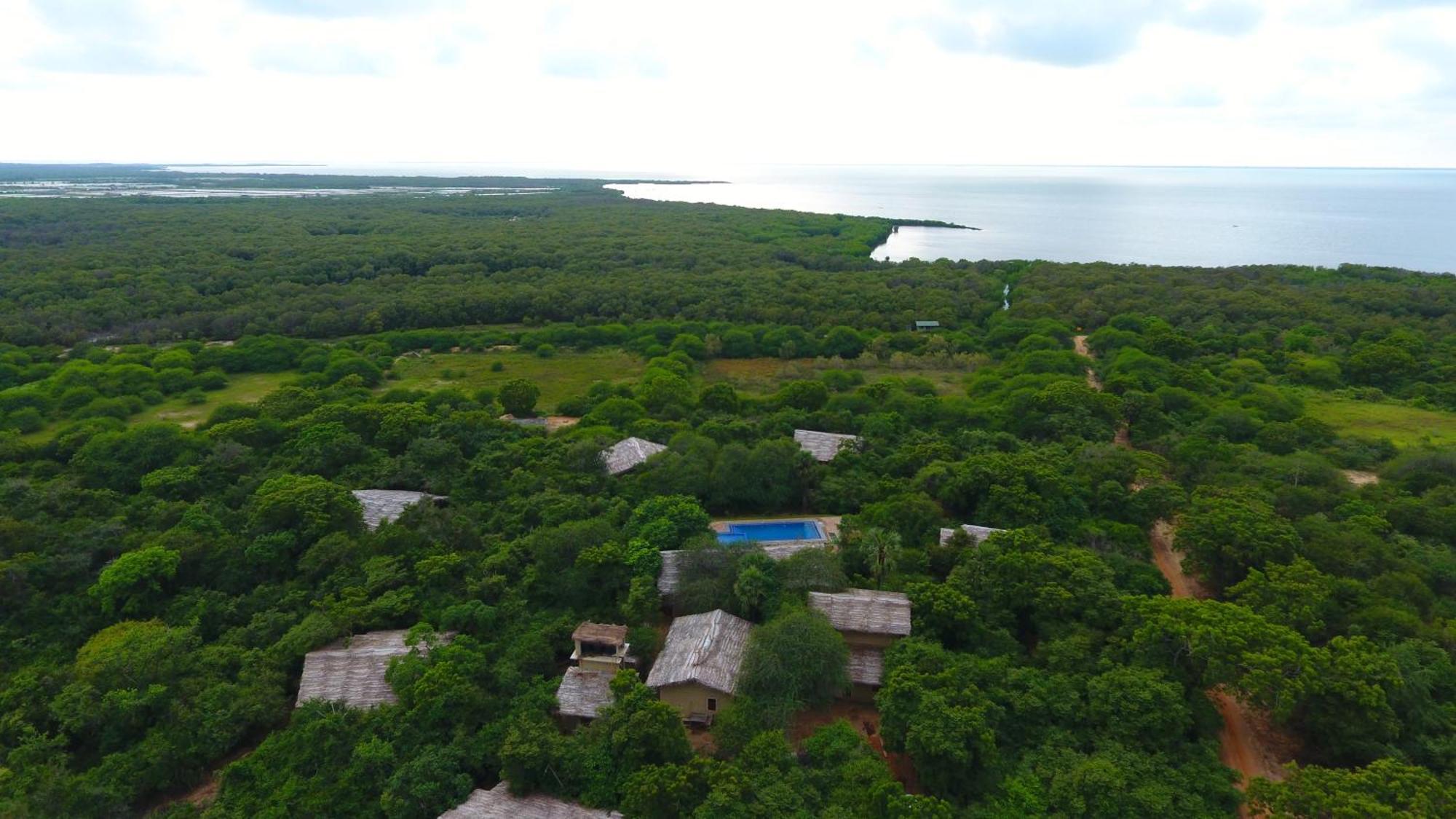 Cloud Nine Wilpattu By Aaradhya Hotell Wanathavilluwa Eksteriør bilde