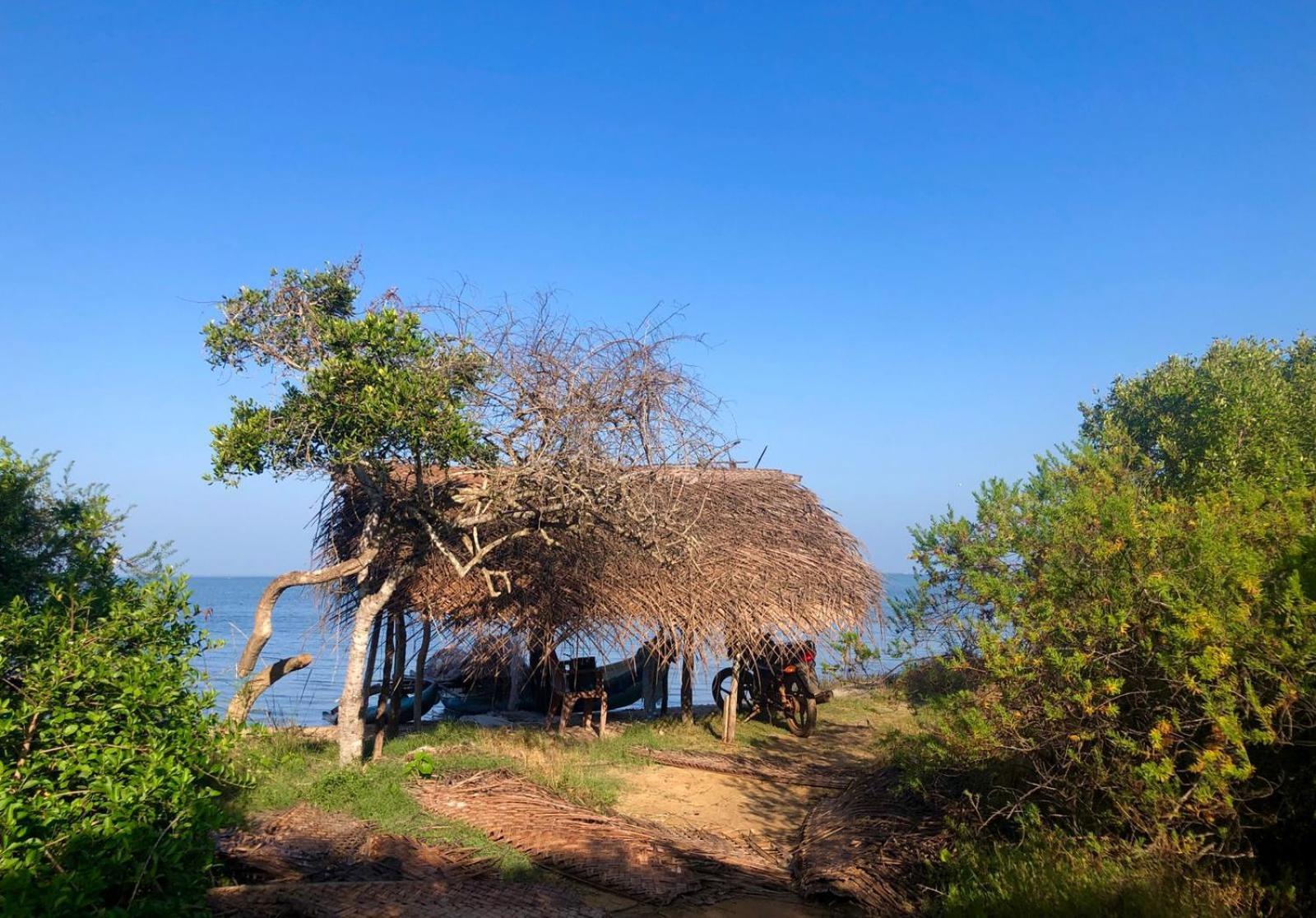 Cloud Nine Wilpattu By Aaradhya Hotell Wanathavilluwa Eksteriør bilde