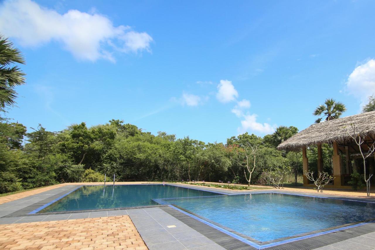 Cloud Nine Wilpattu By Aaradhya Hotell Wanathavilluwa Eksteriør bilde