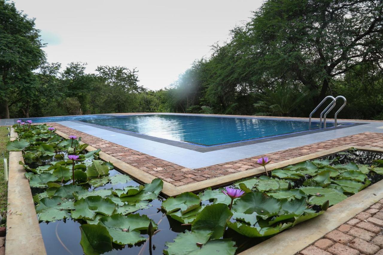 Cloud Nine Wilpattu By Aaradhya Hotell Wanathavilluwa Eksteriør bilde